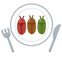 Insect-food