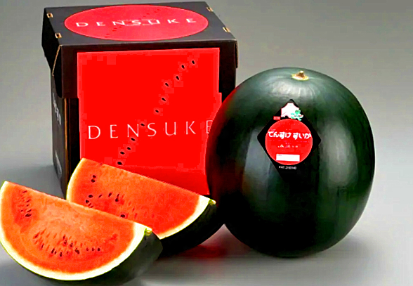 densuke watermelon summer