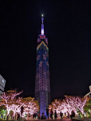 fukuoka-tower-2023-sakura