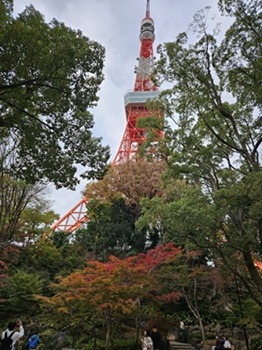 A warm-toned globe representing changes in cultural differences around the world.