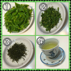 green tea