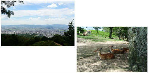 views from Wakakusa mountain