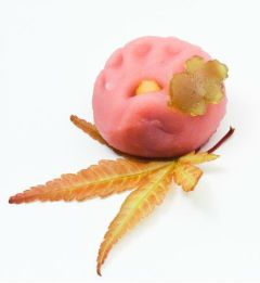 Japanese Wagashi sweets