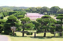 nokonoshima-park