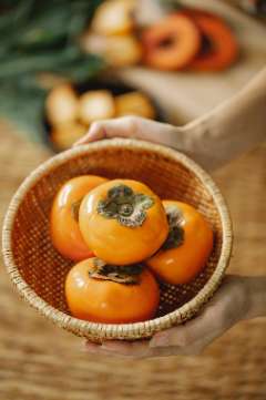 persimmon