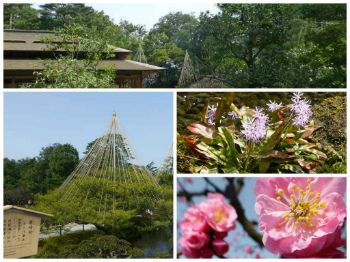 Kenrokuen Japanese garden