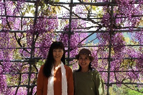 Kawachi fuji festival with hachiyama sensei and kamioka san