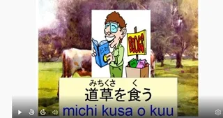 Japanese idiom 道草を食う (michikusa o kuu) – meaning and examples video lesson