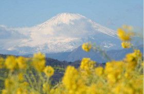 Mt. Fuji