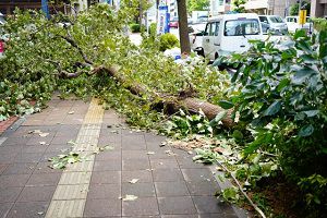 typhoon-2023-japan